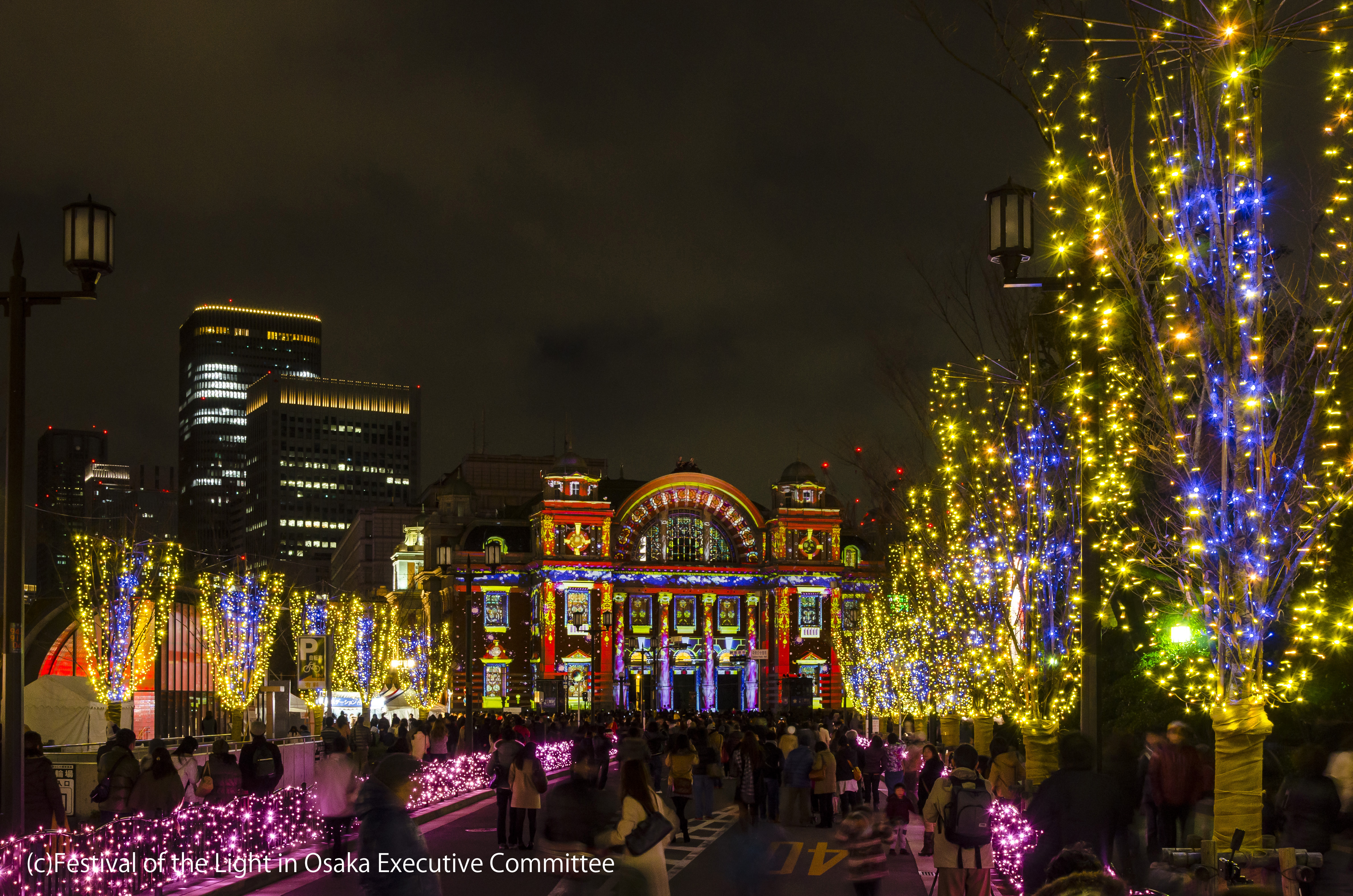 Osaka Festival Of Lights Luci Association