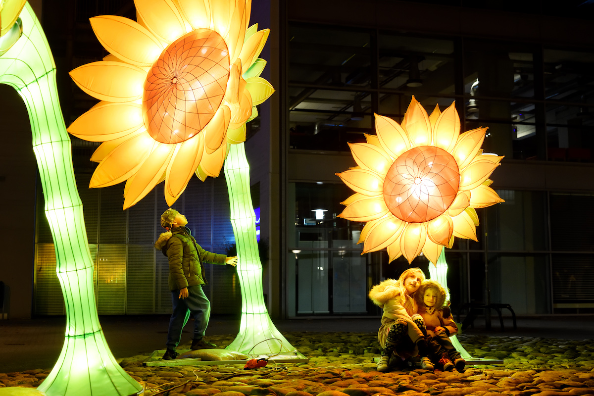GLOW Eindhoven - Sunflowers for Van Gogh
